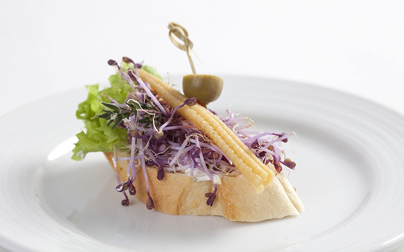 Herrenbrotschnitte mit frischem Gemüse
